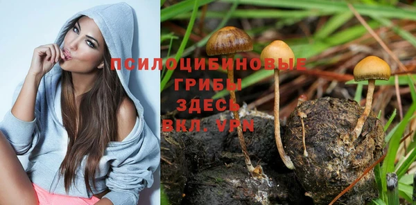 марихуана Баксан